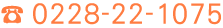 0228-22-1075